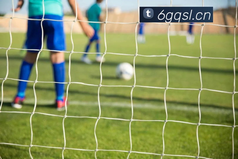 leyu乐鱼官方登录入口APP 封面图